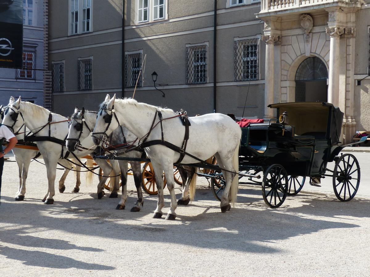 Amedeo Zotti Residence Salzburg Dış mekan fotoğraf